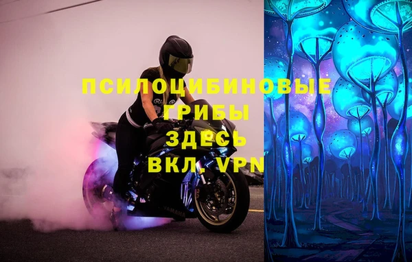 MDMA Premium VHQ Бородино