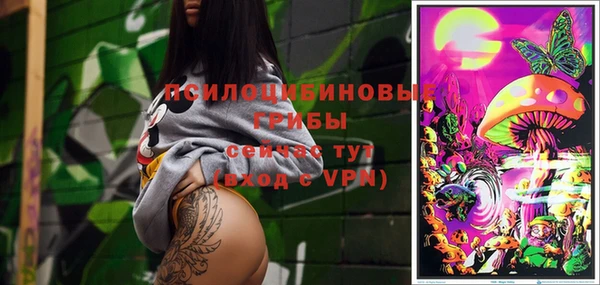 mix Богородицк